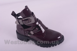 Ботинки Aotoria D16-3623-2