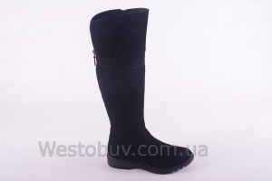 Сапоги Днепр 235чз