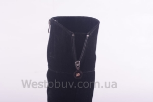 Сапоги Днепр 235чз