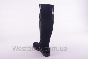 Сапоги Днепр 235чз