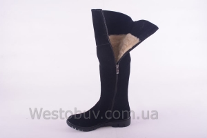 Сапоги Днепр 235чз