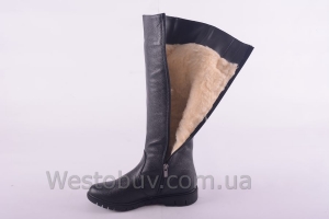 Сапоги Днепр 238чф