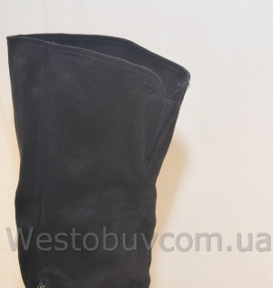 Ботфорты Seastar AE35