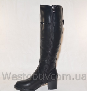 Сапоги Lilin-shoes M116-10