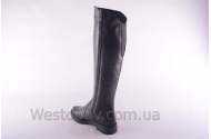 Сапоги Днепр 226чк
