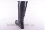 Сапоги Днепр 207чк