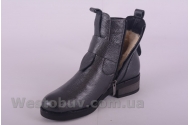 Сапоги Днепр Б21781