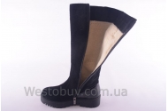 Сапоги Днепр 201чзл
