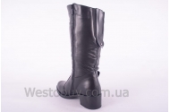 Сапоги Днепр C3004