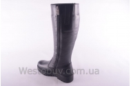 Сапоги Днепр 201чк