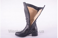 Сапоги Днепр C3004