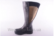 Сапоги Днепр 201чк