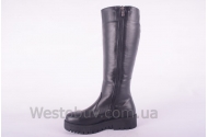Сапоги Днепр 208