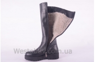 Сапоги Днепр 208