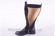 Сапоги Днепр 210чз