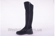 Сапоги Днепр 209чз