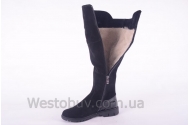 Сапоги Днепр 209чз