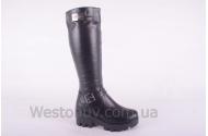 Сапоги Днепр 046