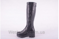 Сапоги Днепр 046