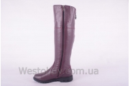 Сапоги Днепр 235бк