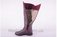 Сапоги Днепр 235бк