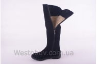 Сапоги Днепр 235чз
