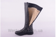 Сапоги Днепр 238чф